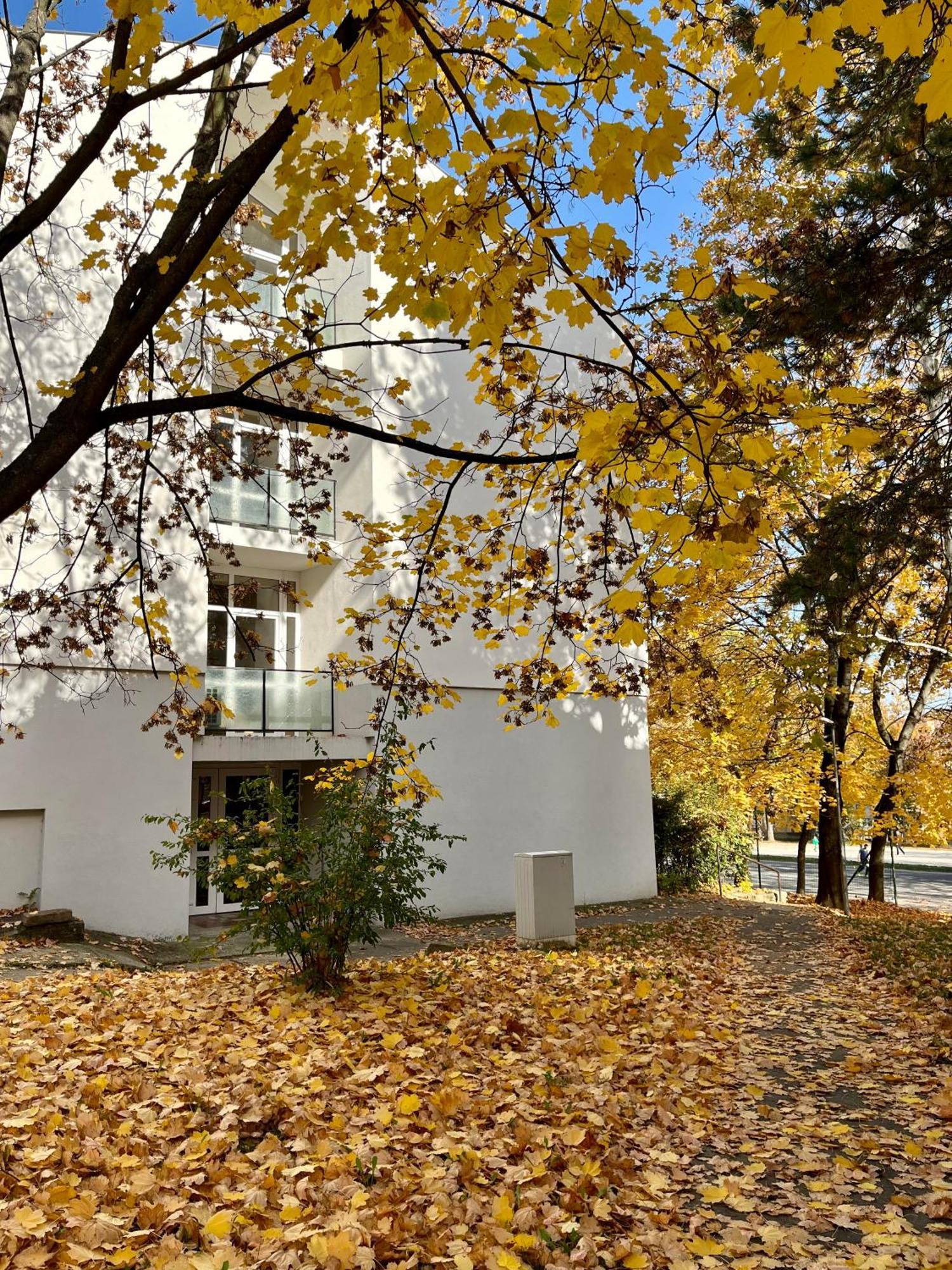 Oazis Apartman เวสเปรม ภายนอก รูปภาพ